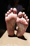 Tropical Tootsies Onlyfans pictures
