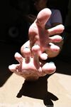 Tropical Tootsies Onlyfans pictures